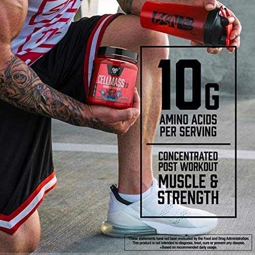 Post Workout Creatine Powder BCAA Glutamine 5g Matrix Keto Friendly Arctic Berry