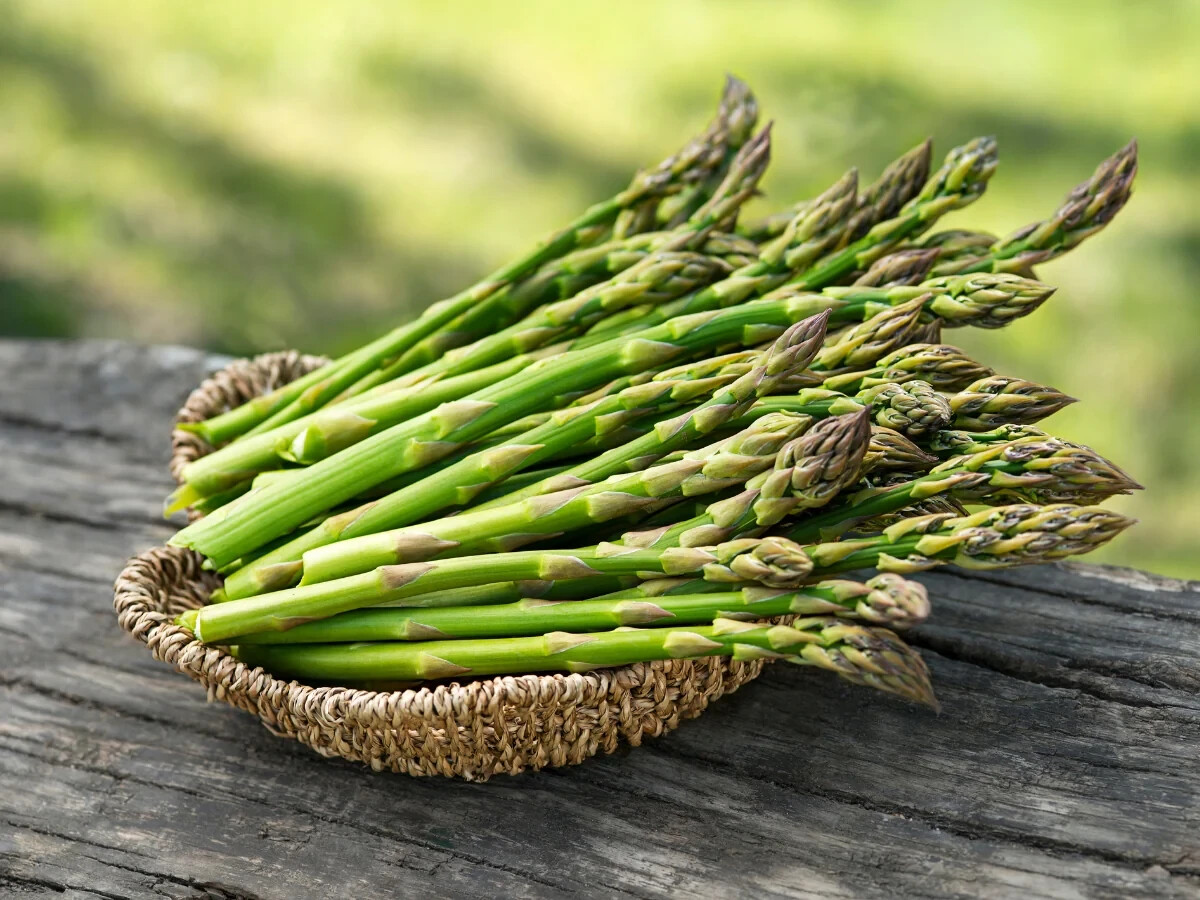 Whole food extract – ASPARAGUS YOUNG SHOOTS – Immune system support 1Bot 60Caps