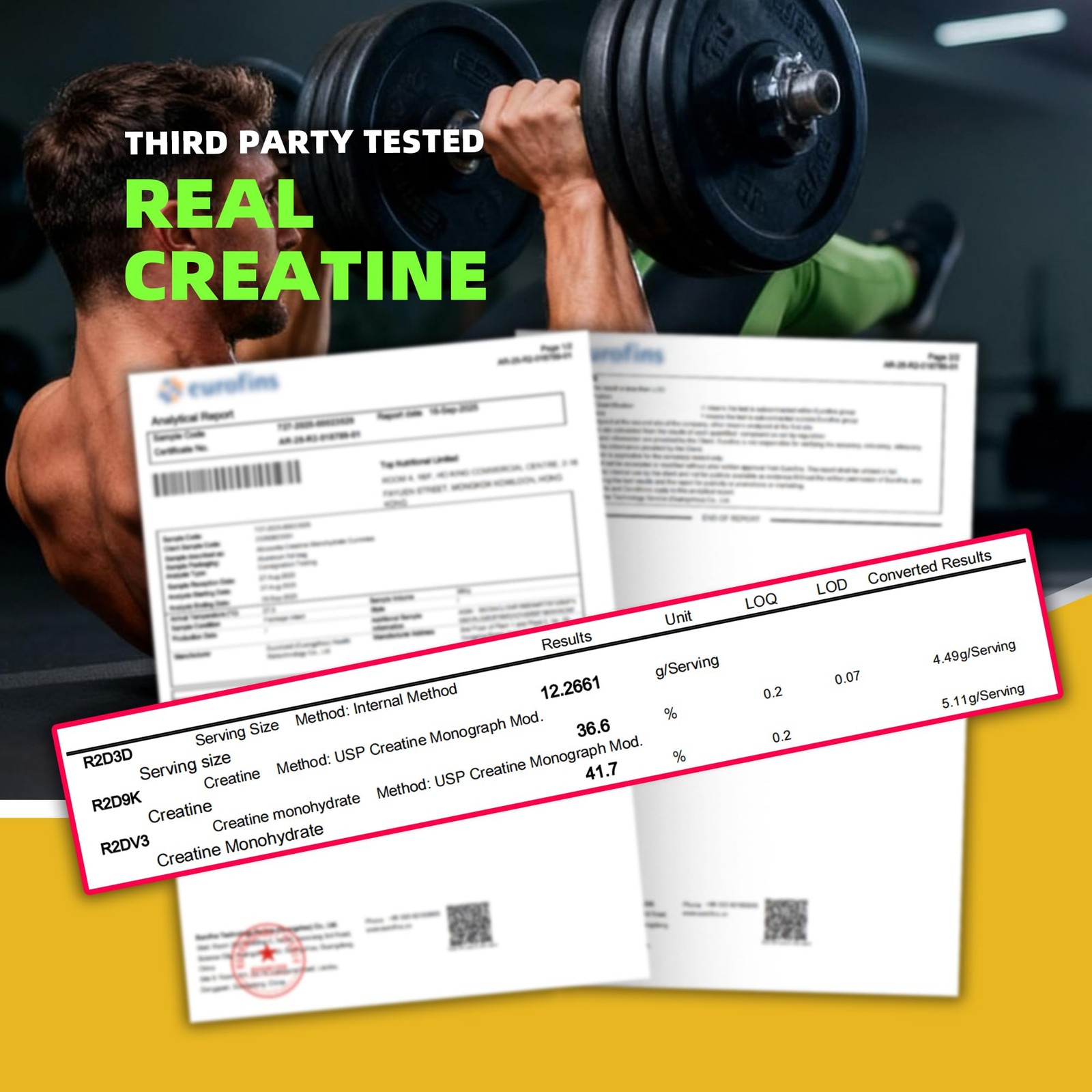 NSF Certified Creatine Gummy – Creatine Monohydrate Gummies 5000mg for Men an…