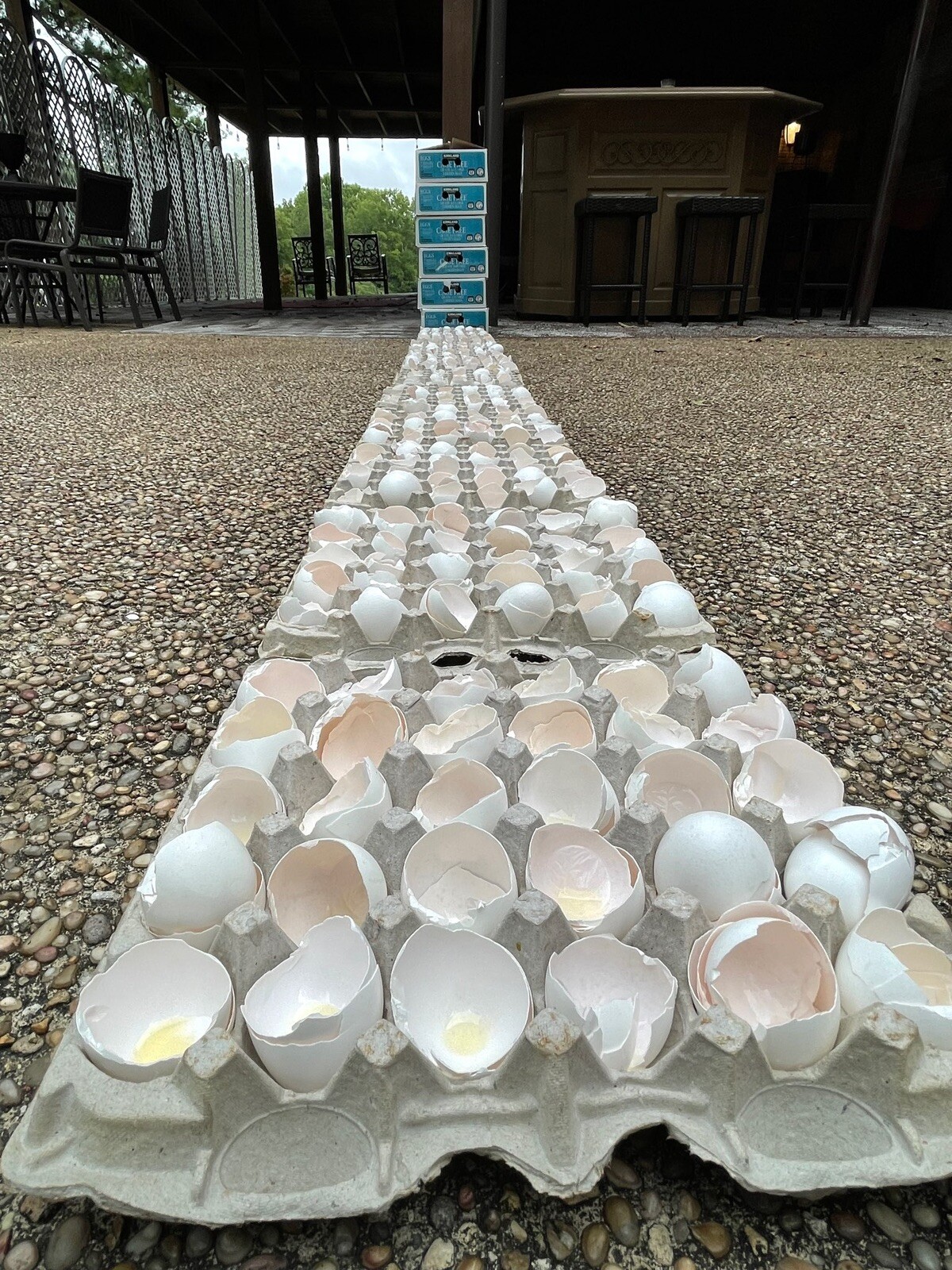 fresh egg whites 100% Liquid Egg Whites cage free eggs Frozen from fresh 64oz