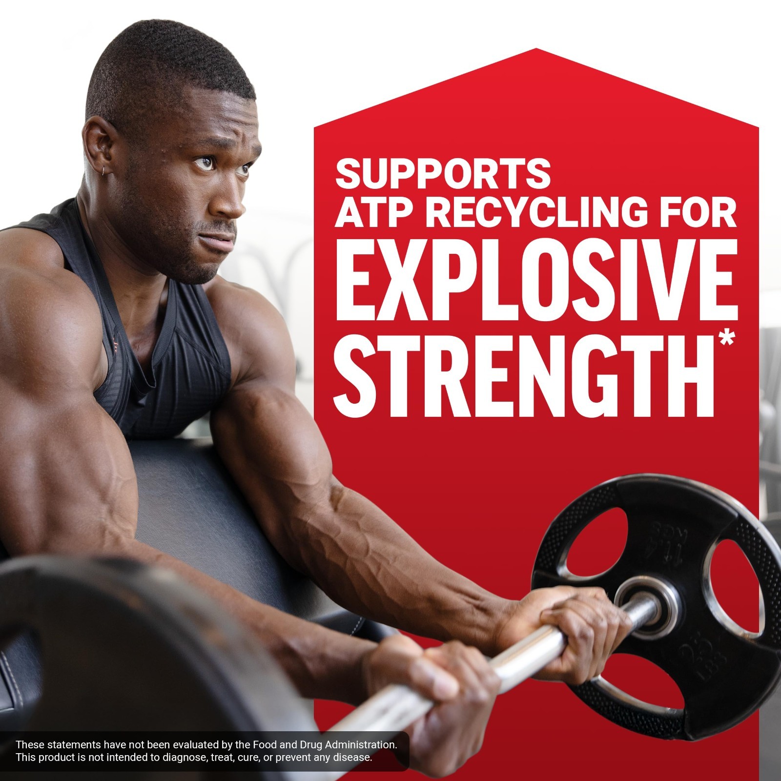 Micronized Creatine Monohydrate Powder 5g – Muscle Growth, Strength & Recovery,