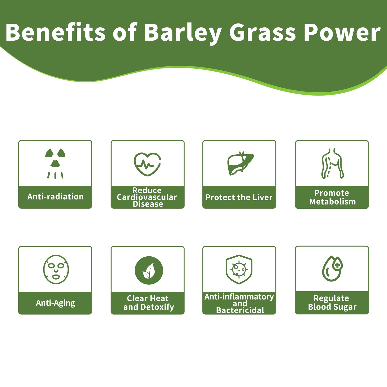 Barley Grass Juice Powder ，Rich in Chlorophyll & Natural 8 Ounce (Pack of 1)