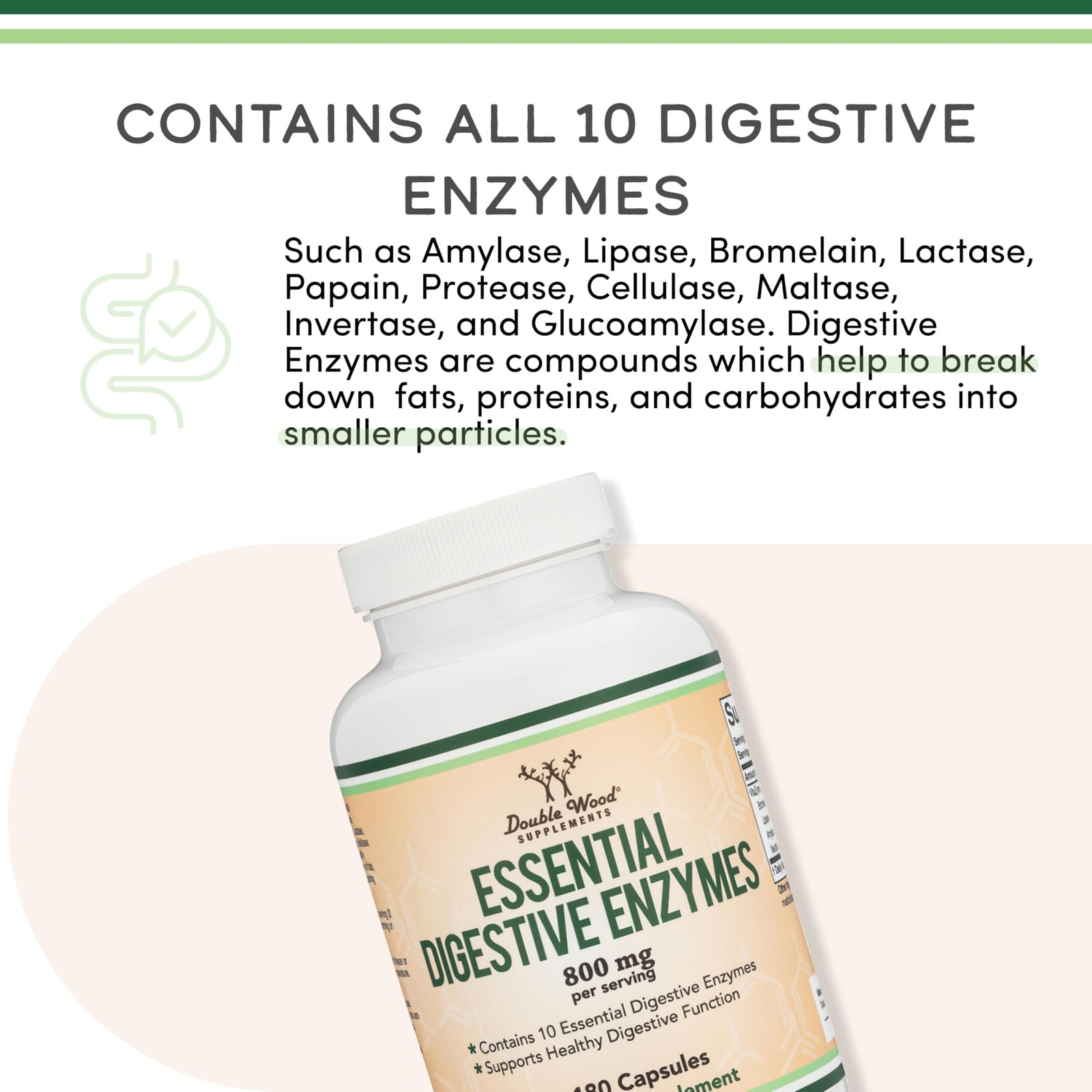 Digestive Enzymes 800mg – All 10 Essential Digestive & Pancreatic Support Formul