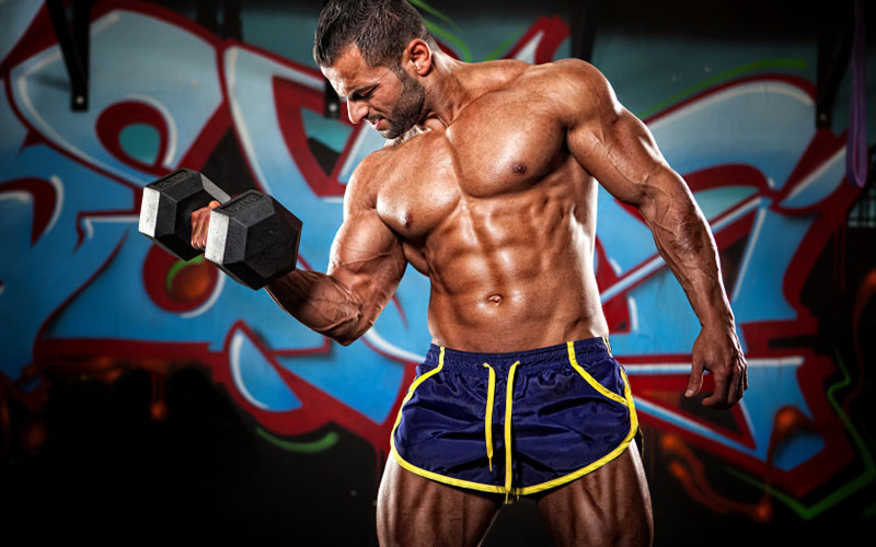 Fat Burner – NITRIC OXIDE 2400mg – Strengthens Your Nerves – 3 Bottles