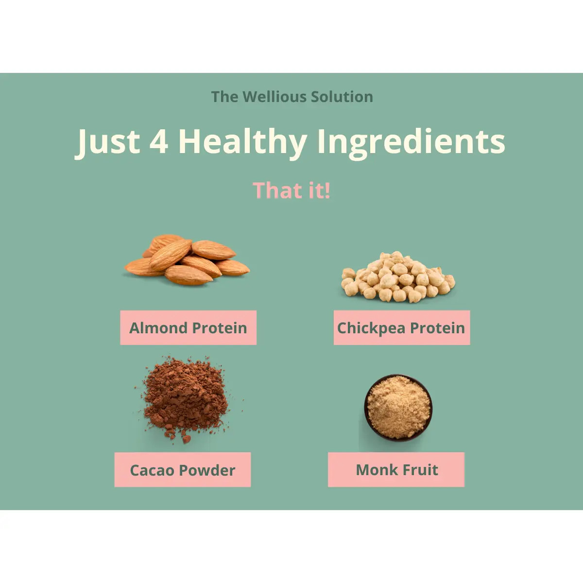 Wellious Protein Powder – Real Vanilla