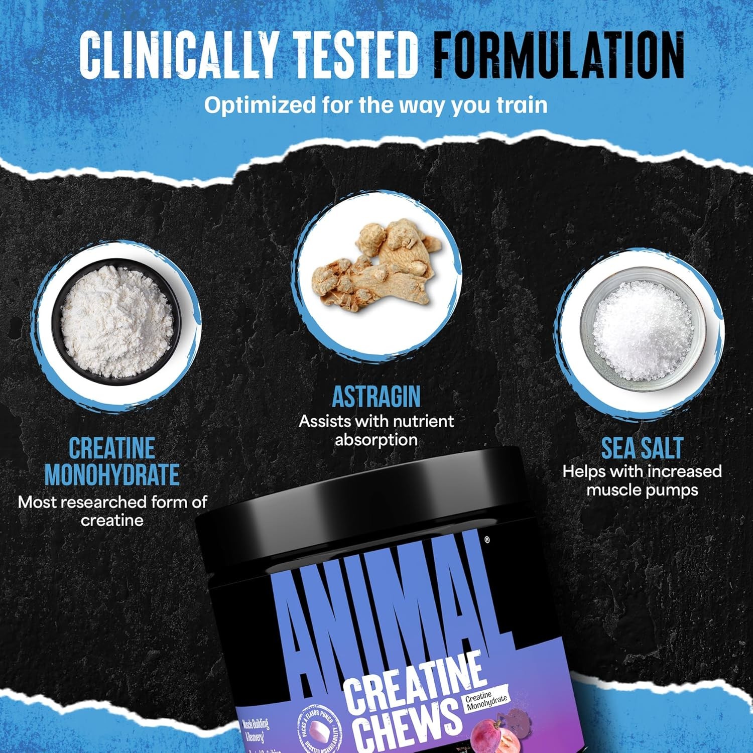 Animal CREATINE CHEWS – 5Gm Performance Creatine Monohydrate 120 Chewable Tablet