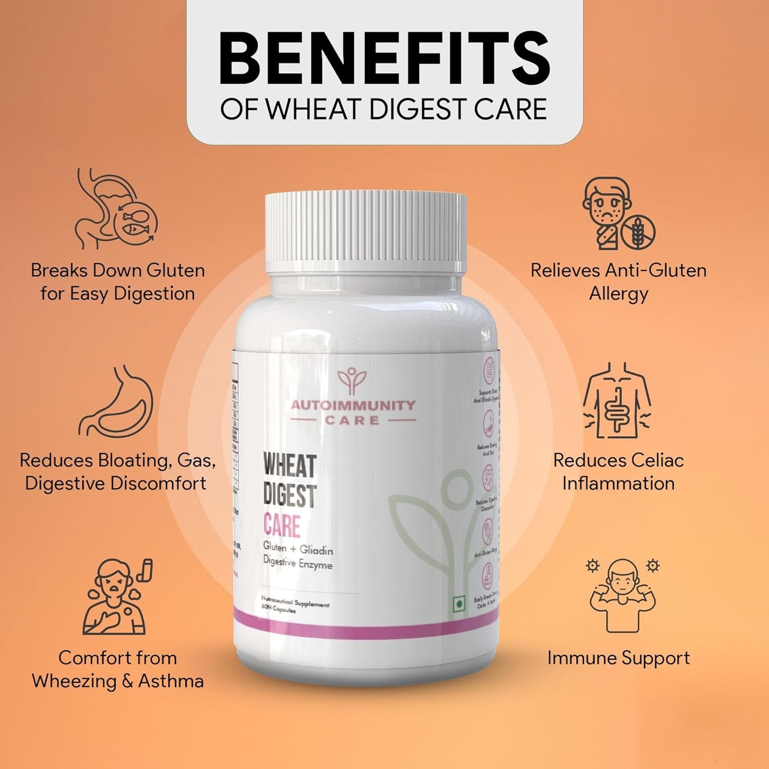 Autoimmunity care Wheat Digest Care | Gluten + Gliadin Digestive Enzyme 60 Caps