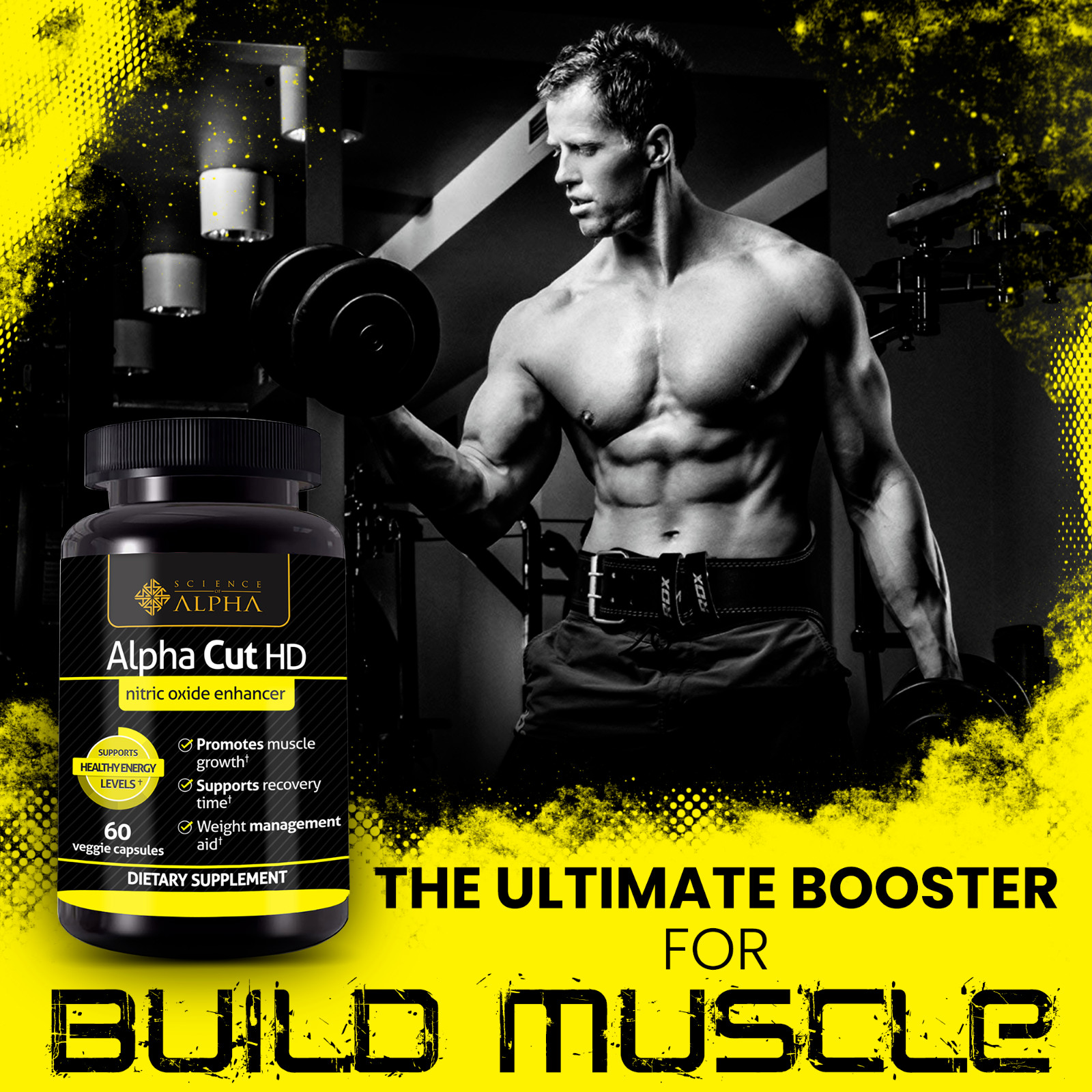 TESTOSTERONE BOOSTER PROMOTES MUSCLE GROWTH ALPHA CUT HD (60 VEGGIE CAPSULES).