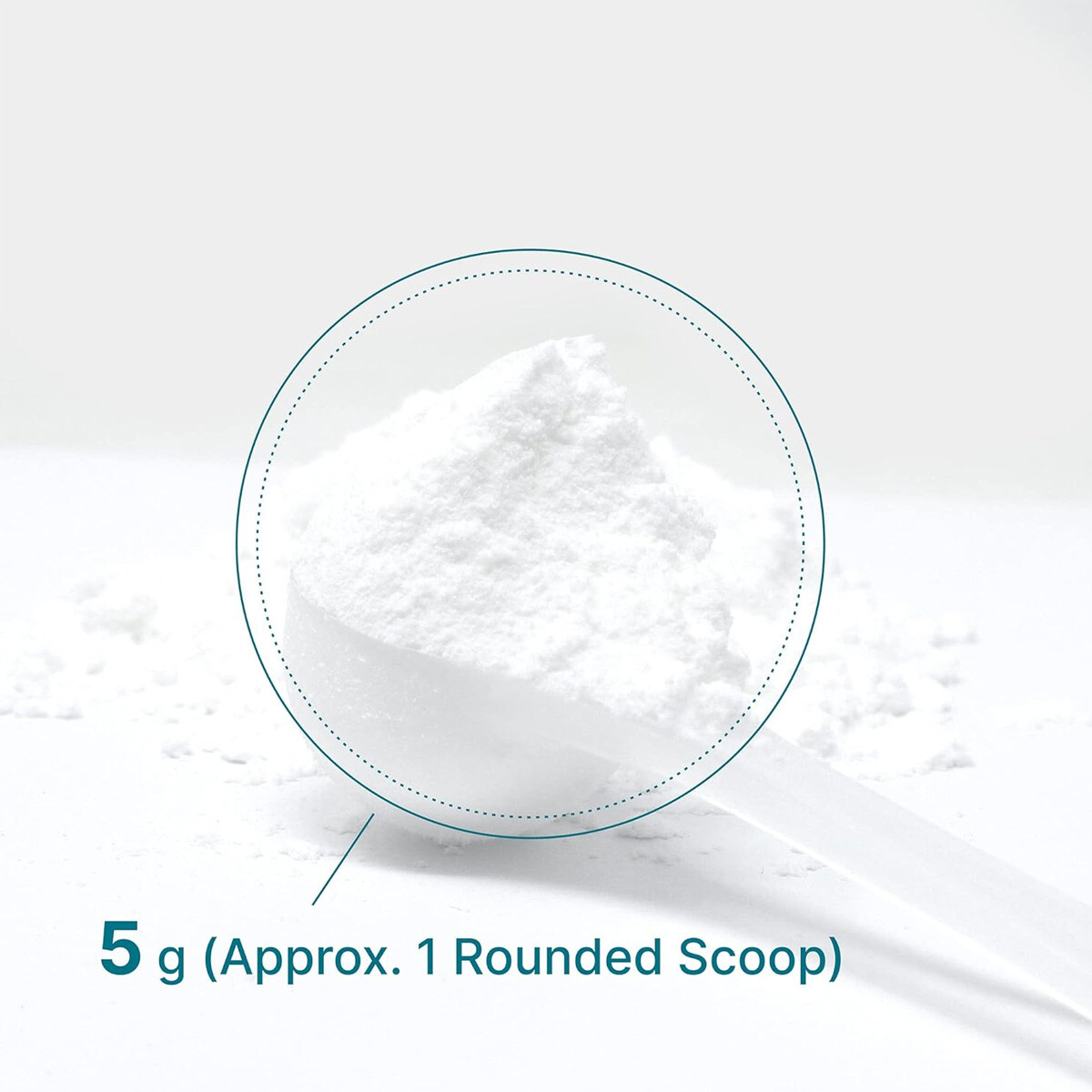 2LB-10LB Creatine Monohydrate Powder Micronized Creatine 5000mg(5g) Per Serving