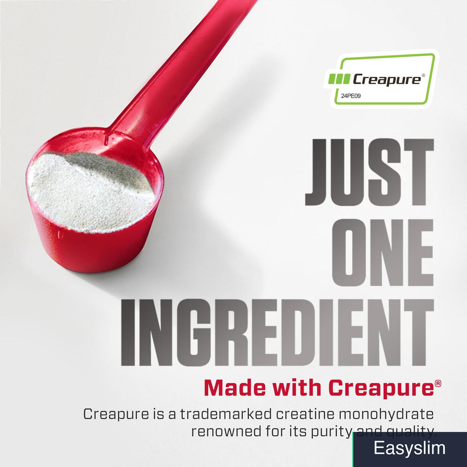 Creatine Monohydrate Powder with Creapure 5g Serving 60 Servings