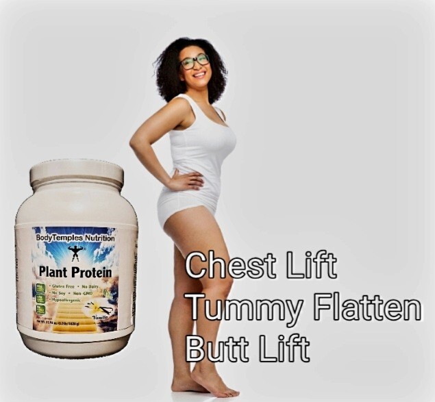 BodyTemples Plant Protein Non-GMO 21g w/ 7 grams BCAA Amino Acids Reg. Size