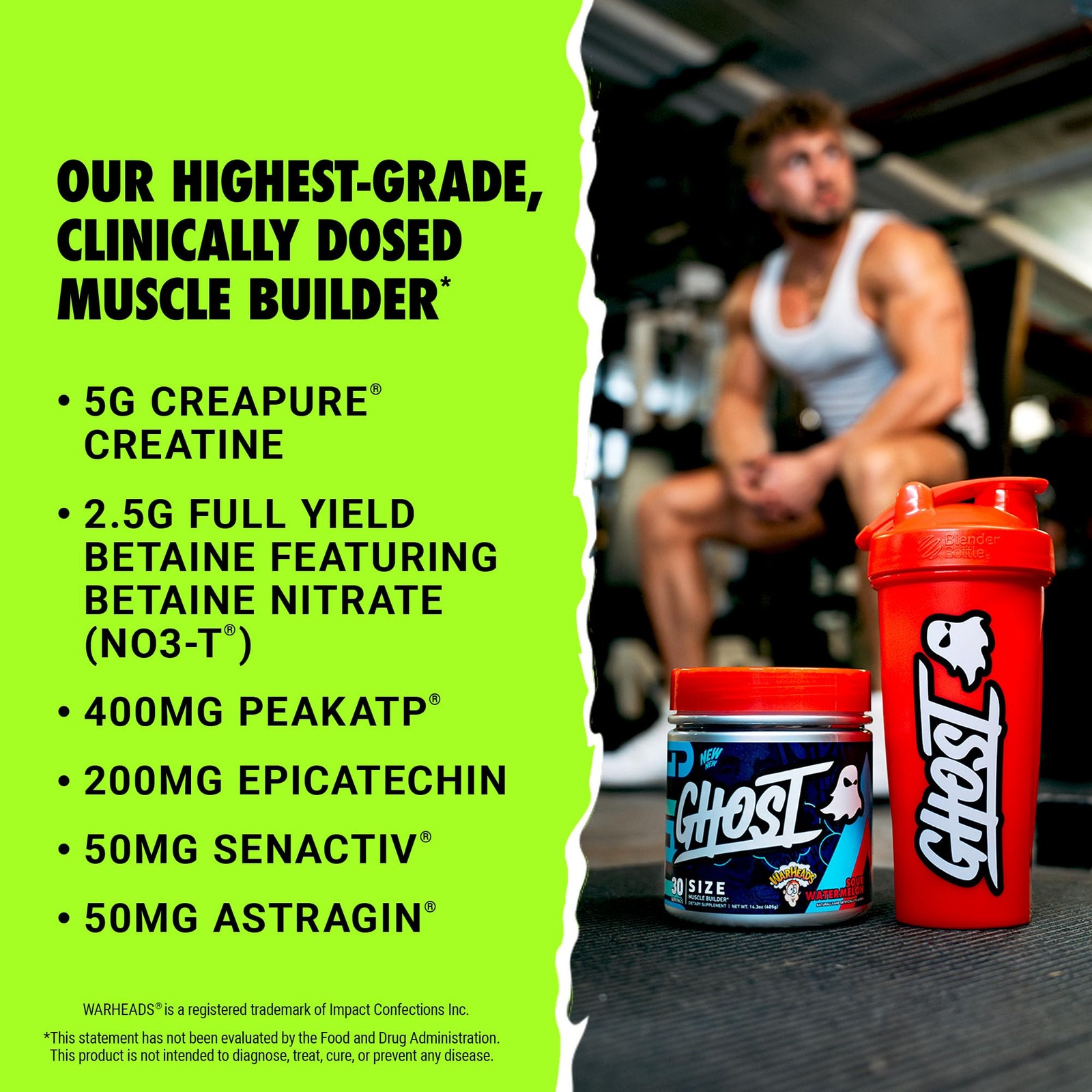GHOST Size Muscle Builder Dietary Supplement – 14.3 Ounce (Pack of 1)