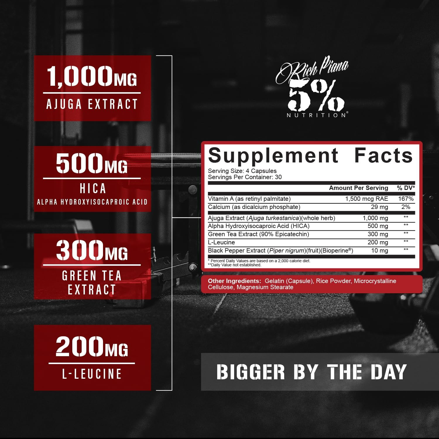 Rich Piana Biggerbytheday | Anabolic Muscle Builder,Hardcore Mass Gainer | Turke