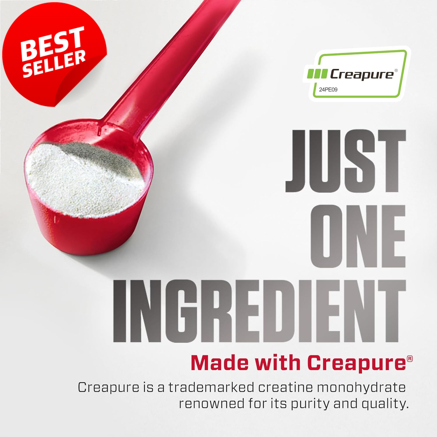 Creatine Monohydrate Creapure 300g 60 Servings 5g Scoop Gluten Free – US
