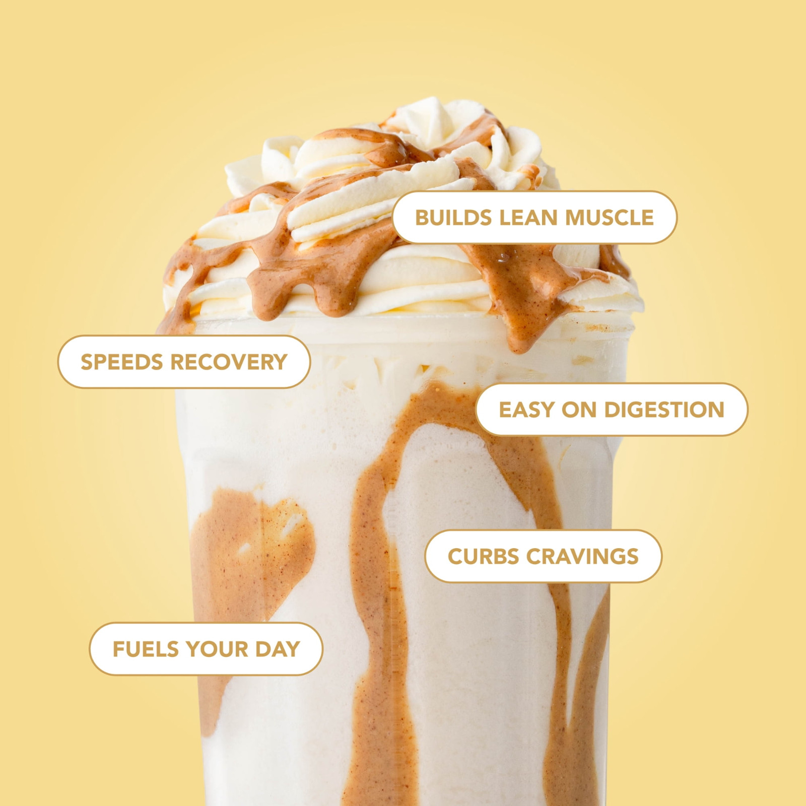 Clean Simple Eats Simply Vanilla Protein Powder 20 Servings (FREESHIP)