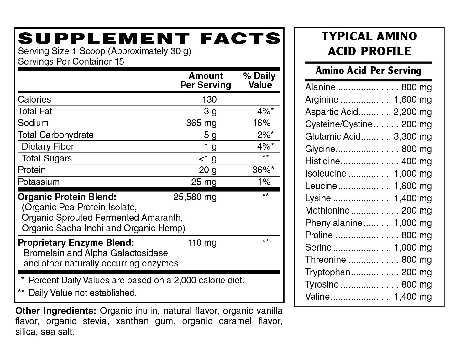 BodyTemples Plant Protein Non-GMO 21g w/ 7 grams BCAA Amino Acids Reg. Size