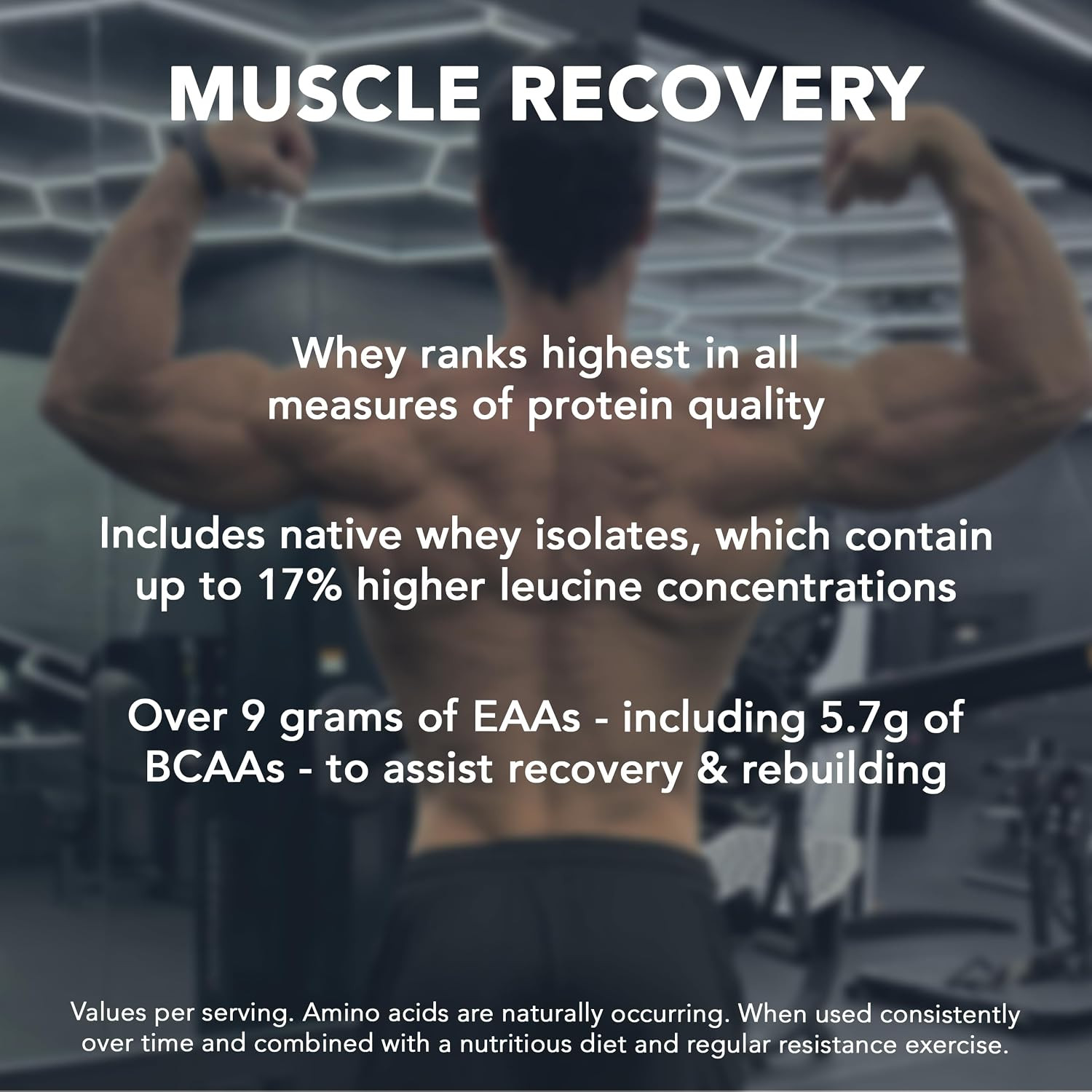 Clean Rival Whey True Vanilla Protein Powder I Whey Isolate Primary Source I 5.0