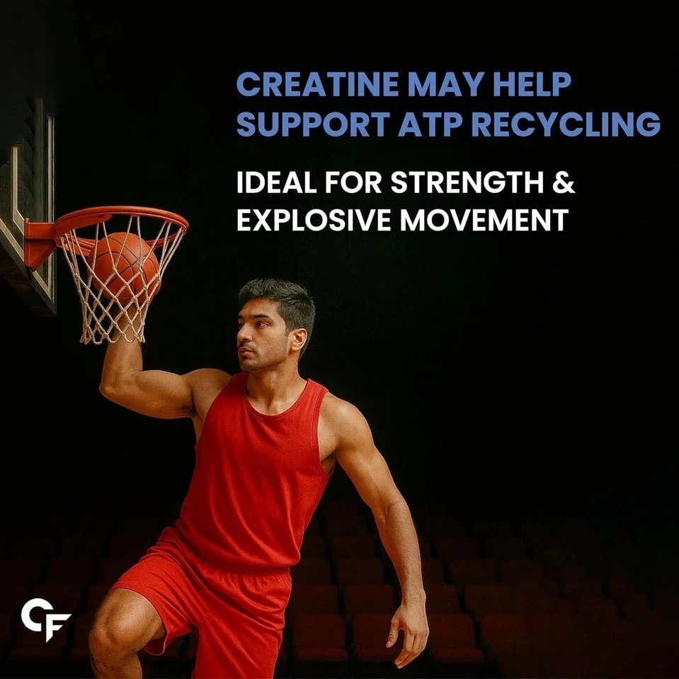 Creatine Micronized Monohydrate Powder | Unflavoured – 33 Servings – 103g c704