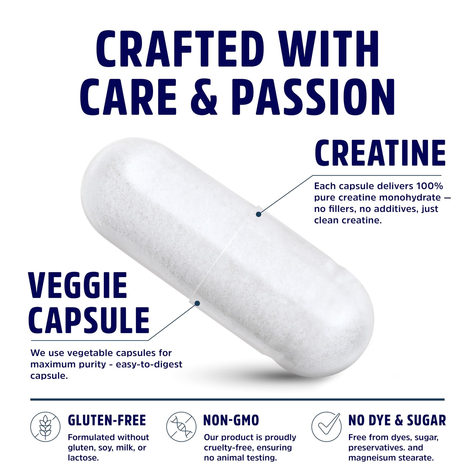 American Research Supplements Creatine Monohydrate 240 Count (Pack of 1)