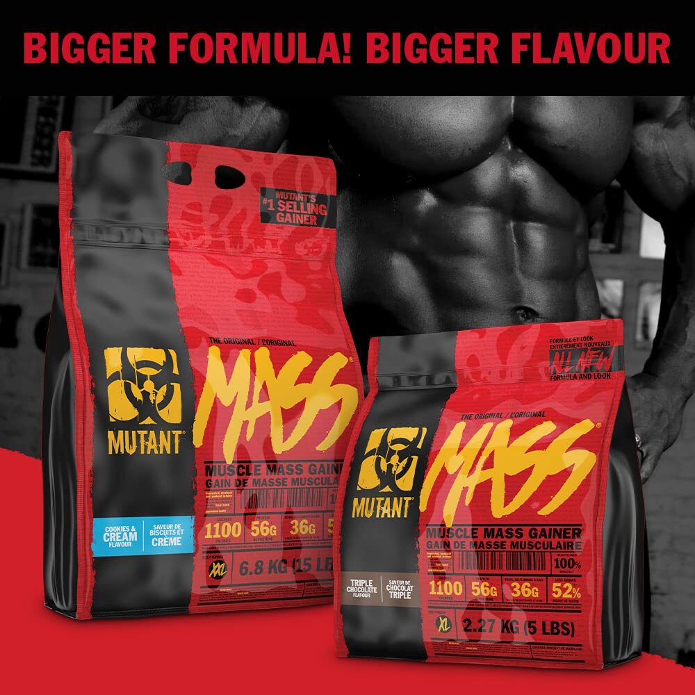 5 Pound Lean Gainer Protein Supplement 1100 Calories 56g Protein BCAAs EAAs