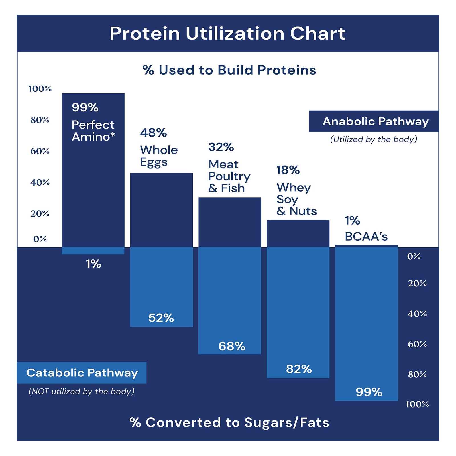 Vegan BCAA Supplement for Muscle Recovery Protein Synthesis 30 Servings