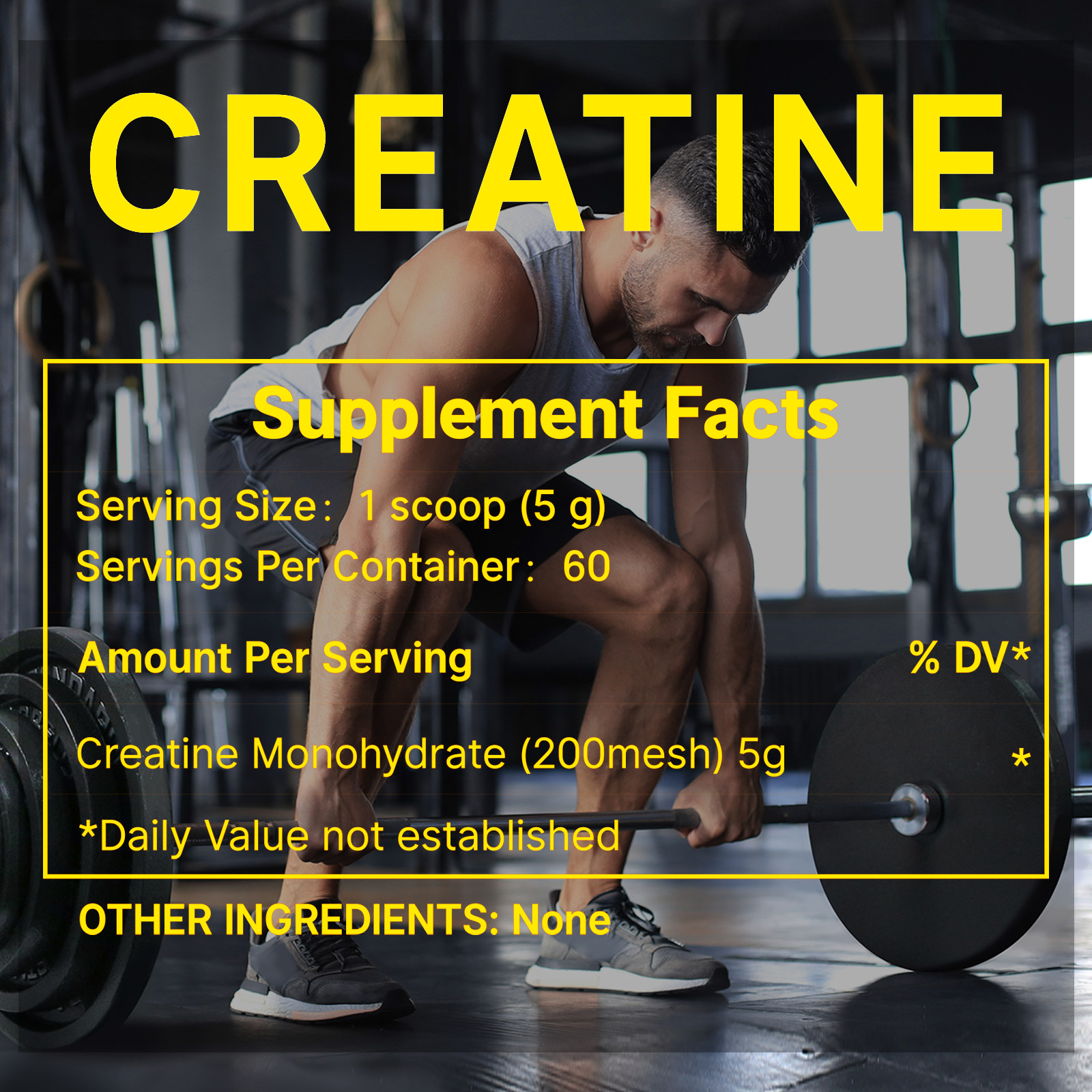 Micronized Creatine Monohydrate Powder 600g, 120 Servings, Unflavored Creatine