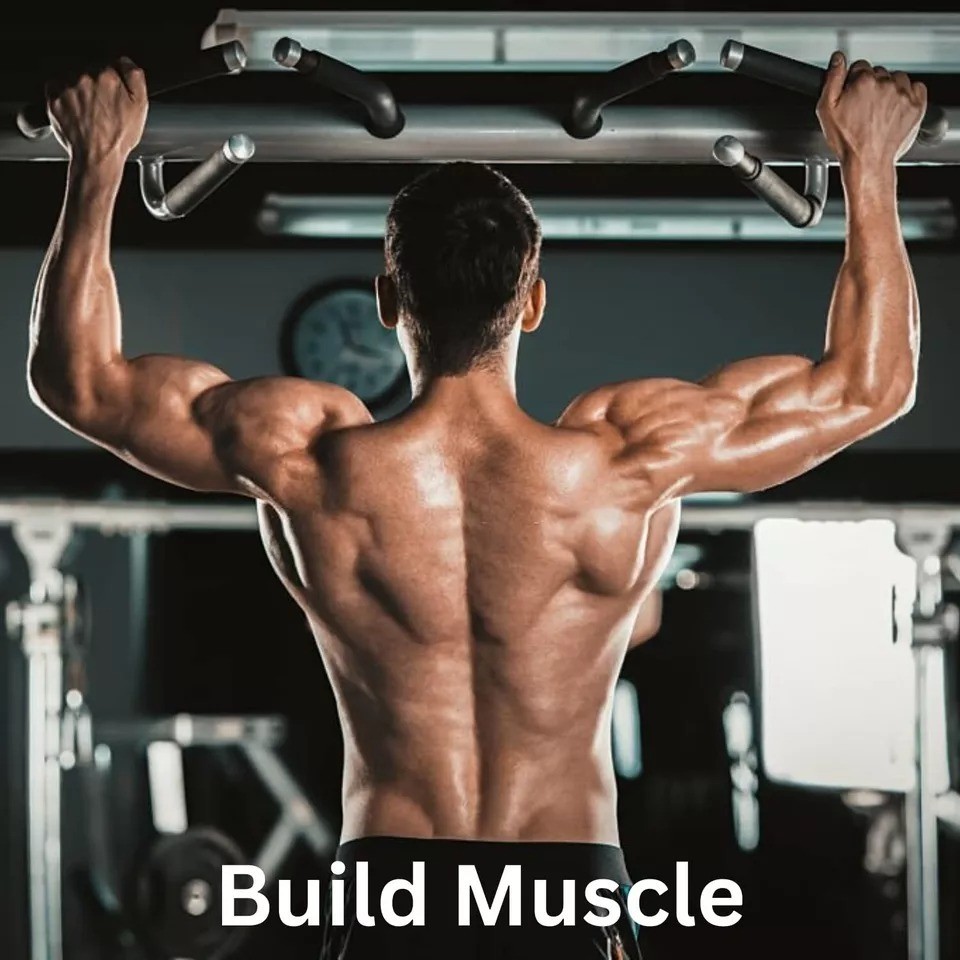 Aamzg Major Load Nutrition for Vitality Performance Energy Endurance Support+