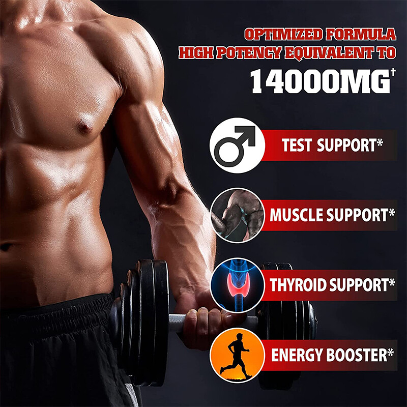 Panax Ginseng 120 Capsules-Testostero Booster, Muscle Health – US