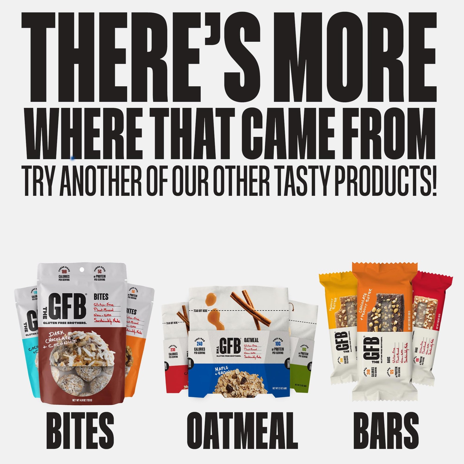 GFB Chocolate Peanut Butter Protein Bars – Gluten-Free, Plant-Based, Non-GMO