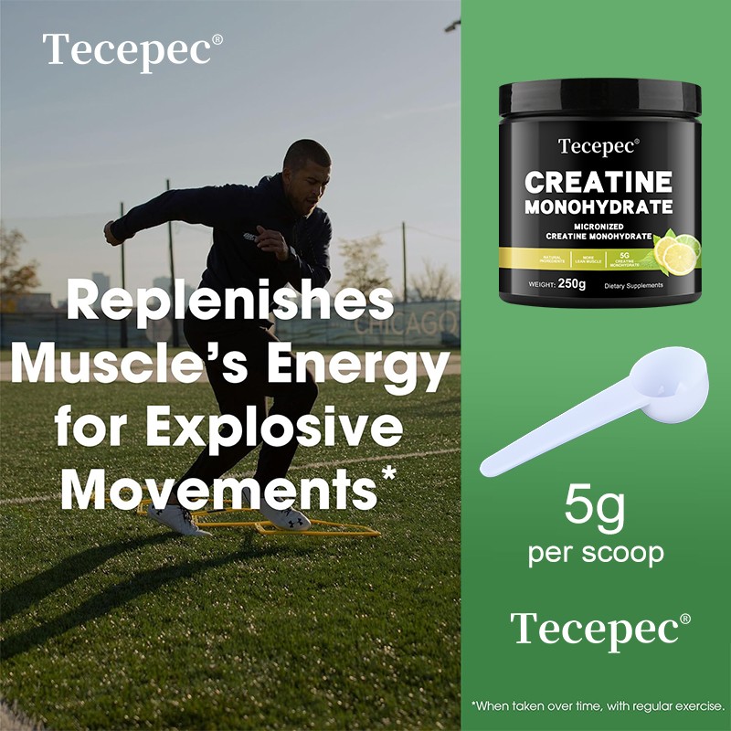 Creatine Monohydrate Powder Improve Muscle Strength Enhance Cognitive Function