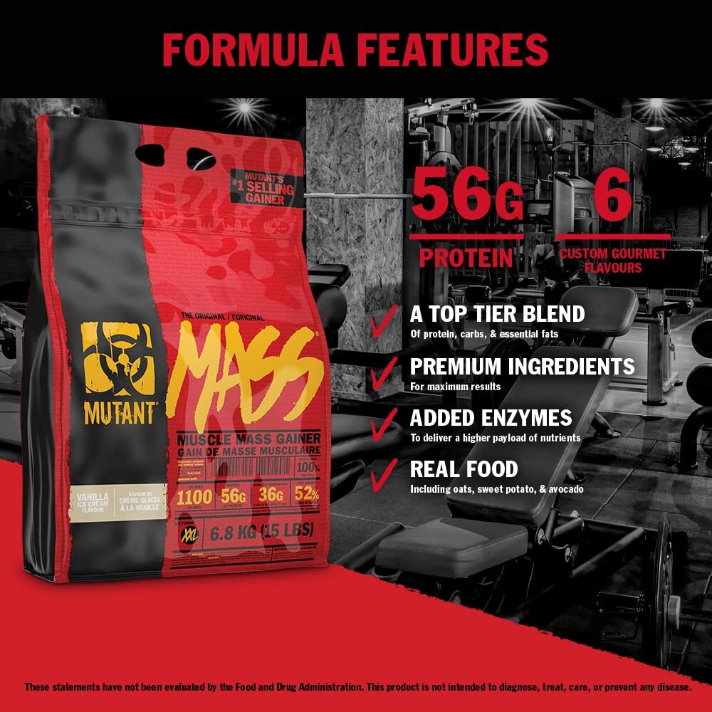 5 Pound Lean Gainer Protein Supplement 1100 Calories 56g Protein BCAAs EAAs