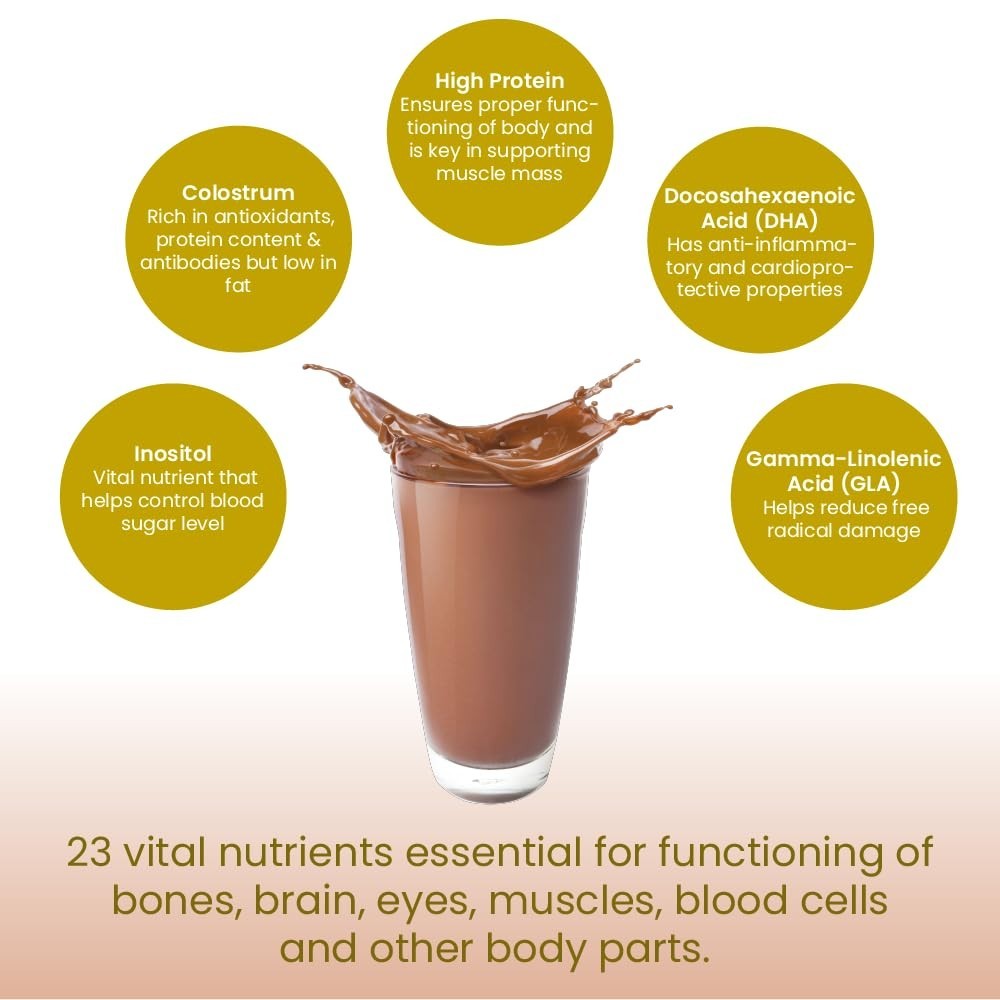 High Protein Powder with 23 essential nutrients For Overall Fitness | Chocolate