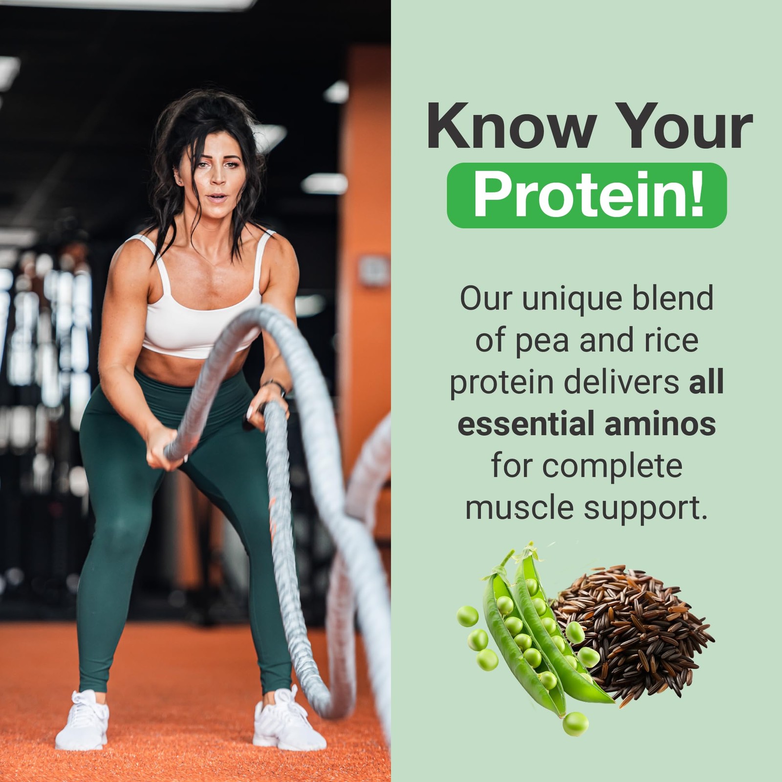Premium Vegan Protein Powder Pea Brown Rice Blend 27 Servings Dairy Free
