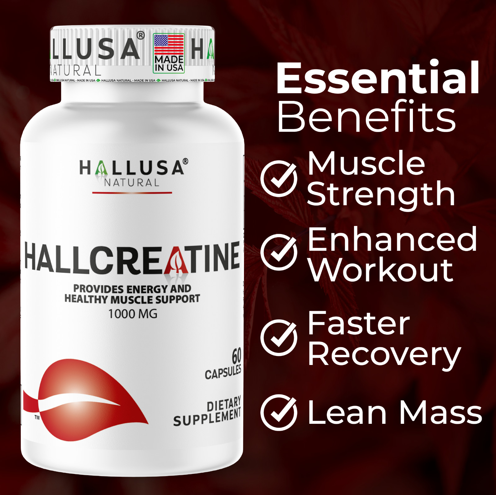 CREATINE Monohydrate – Amino Acid – Preworkout – Support Muscles – 60