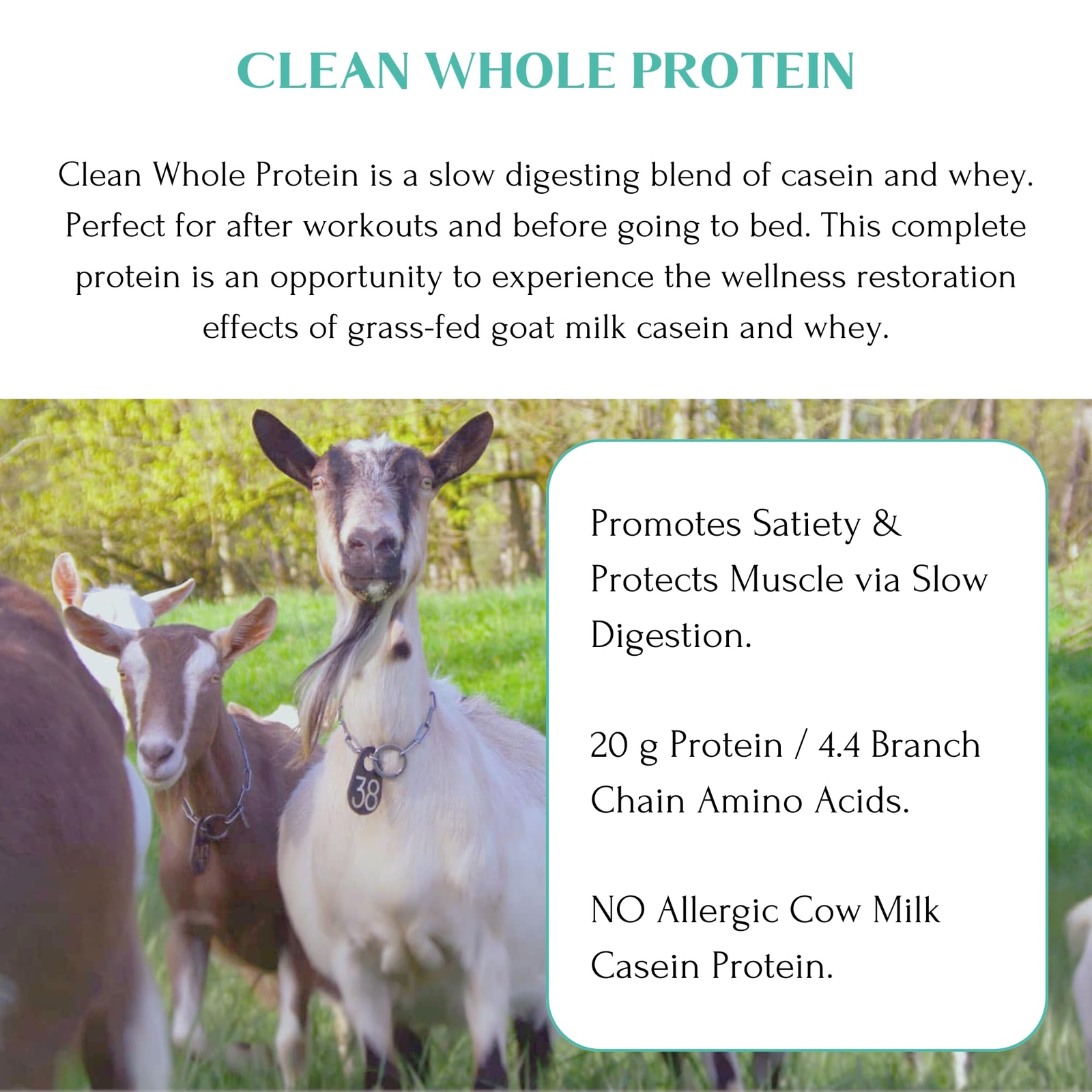 Clean Goat Milk Protein Powder 14.1 oz Grass Fed A2 Easy to Digest 20g Protein