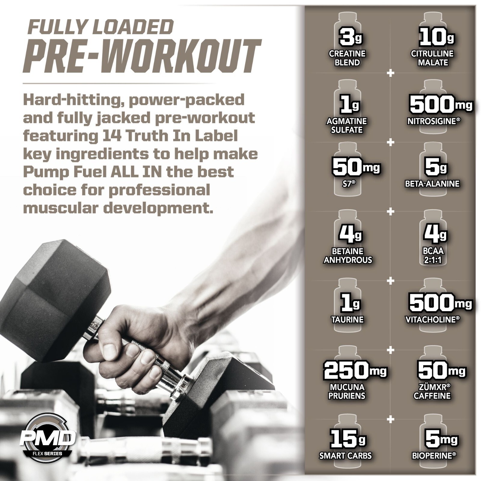 Pump Fuel ALL IN Insanity Ultimate Muscle Pump Supplement & Pre Workout Powder
