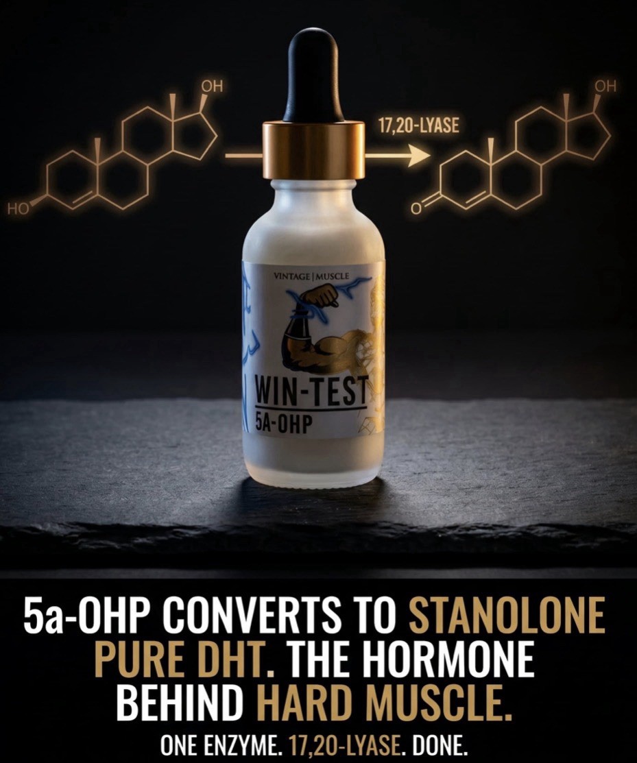 Wintest Striated Dry Gainer 2 Step Precursor To Winstrol By Vintage Muscle 💪