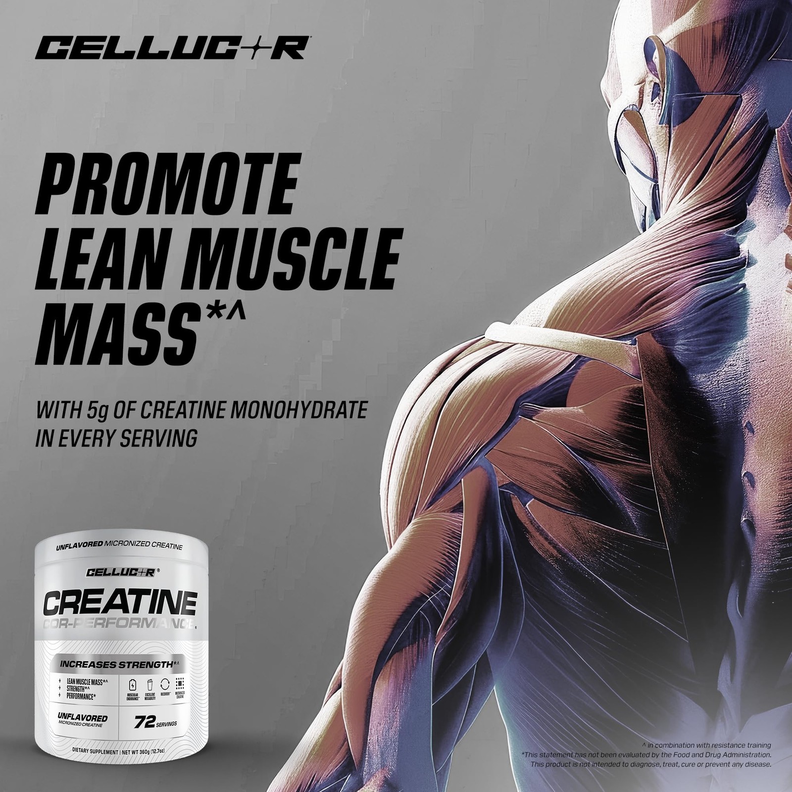 Cellucor Cor-Performance Creatine Monohydrate 12.69 Ounce (Pack of 1), White