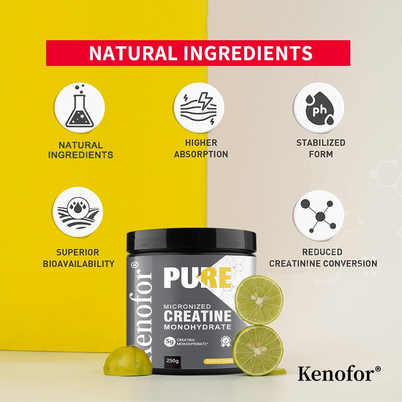 Dietary Supplements Creatine Monohydrate (Micronized) Powder – 5g per Serving