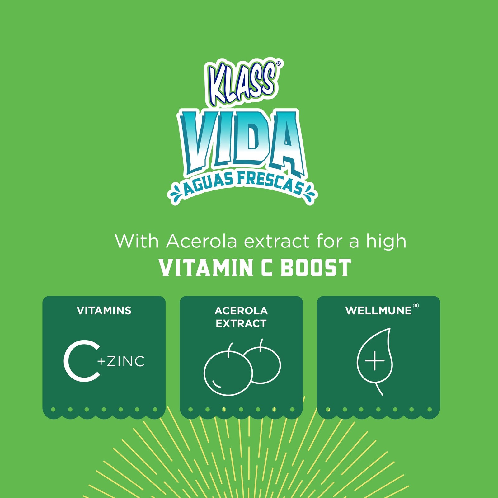 Klass Vida Hydration Immunity Variety Pack Mango Strawberry Horchata Cantaloupe