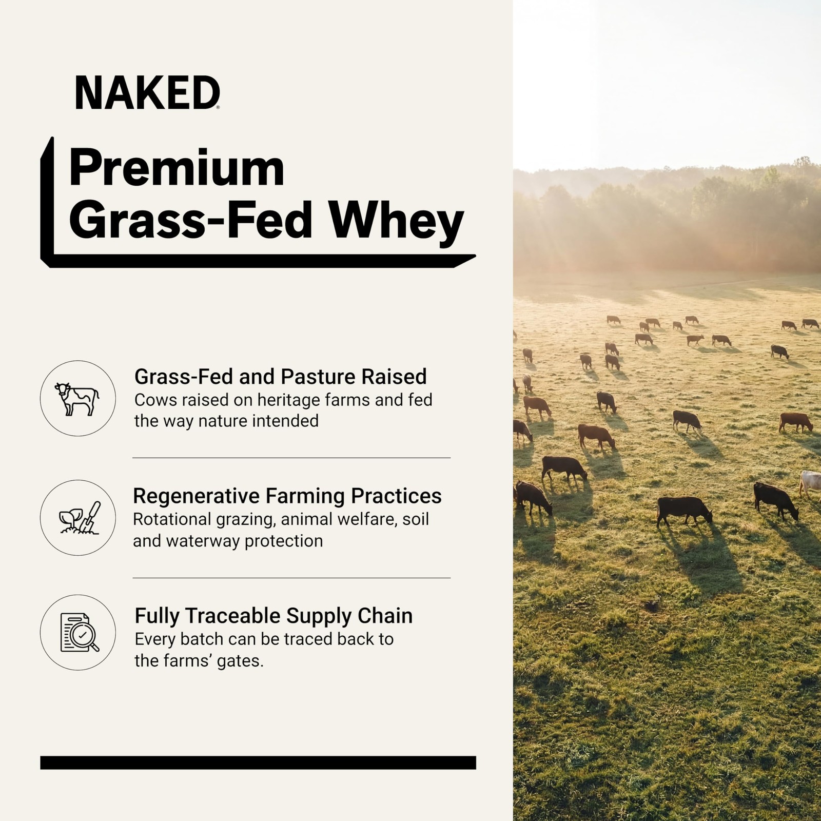 NAKED Vanilla Whey Protein Powder – All Natural Grass Fed 5 Pound (Pack of 1)