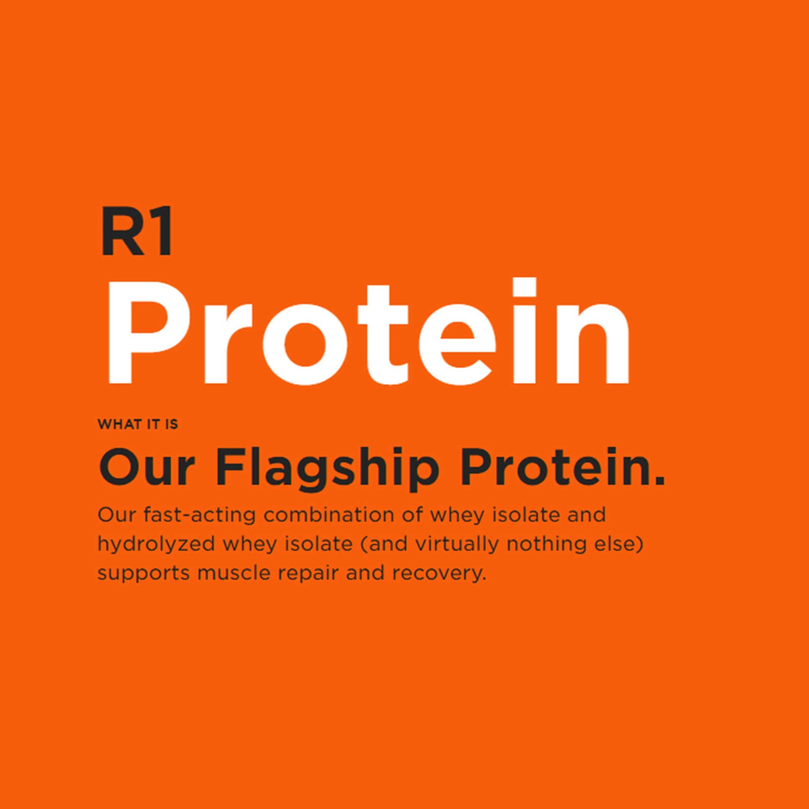 RULE 1 Protein 16 serv Chocolate Fudge Whey Protein Isolate Hydrolysate 1.07lb