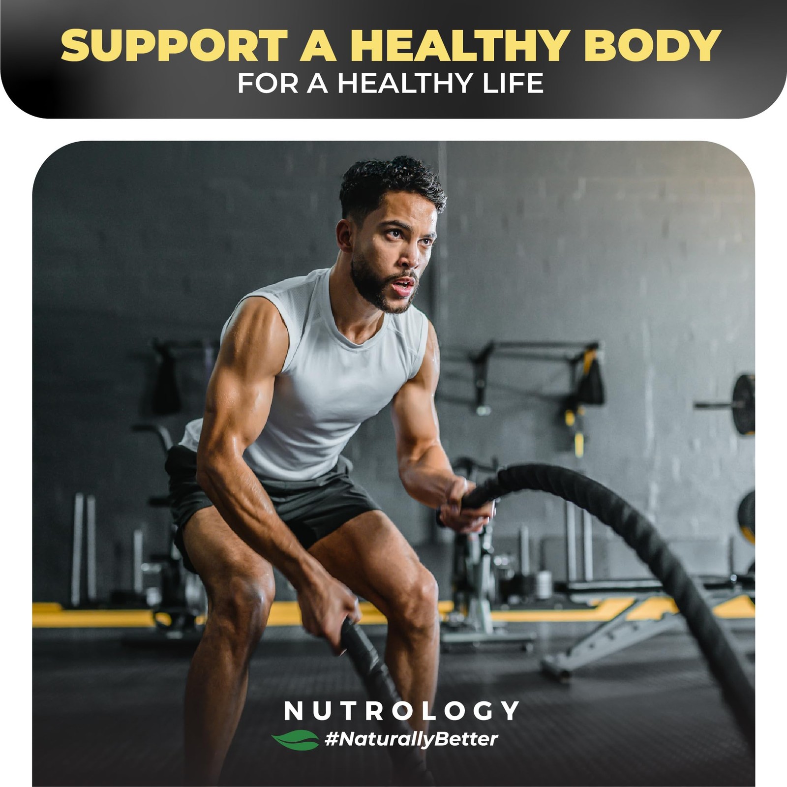 Nutrology BCAA Natural Plant Based BCAA Powder, Lemonade Flavor, Optimized 2…