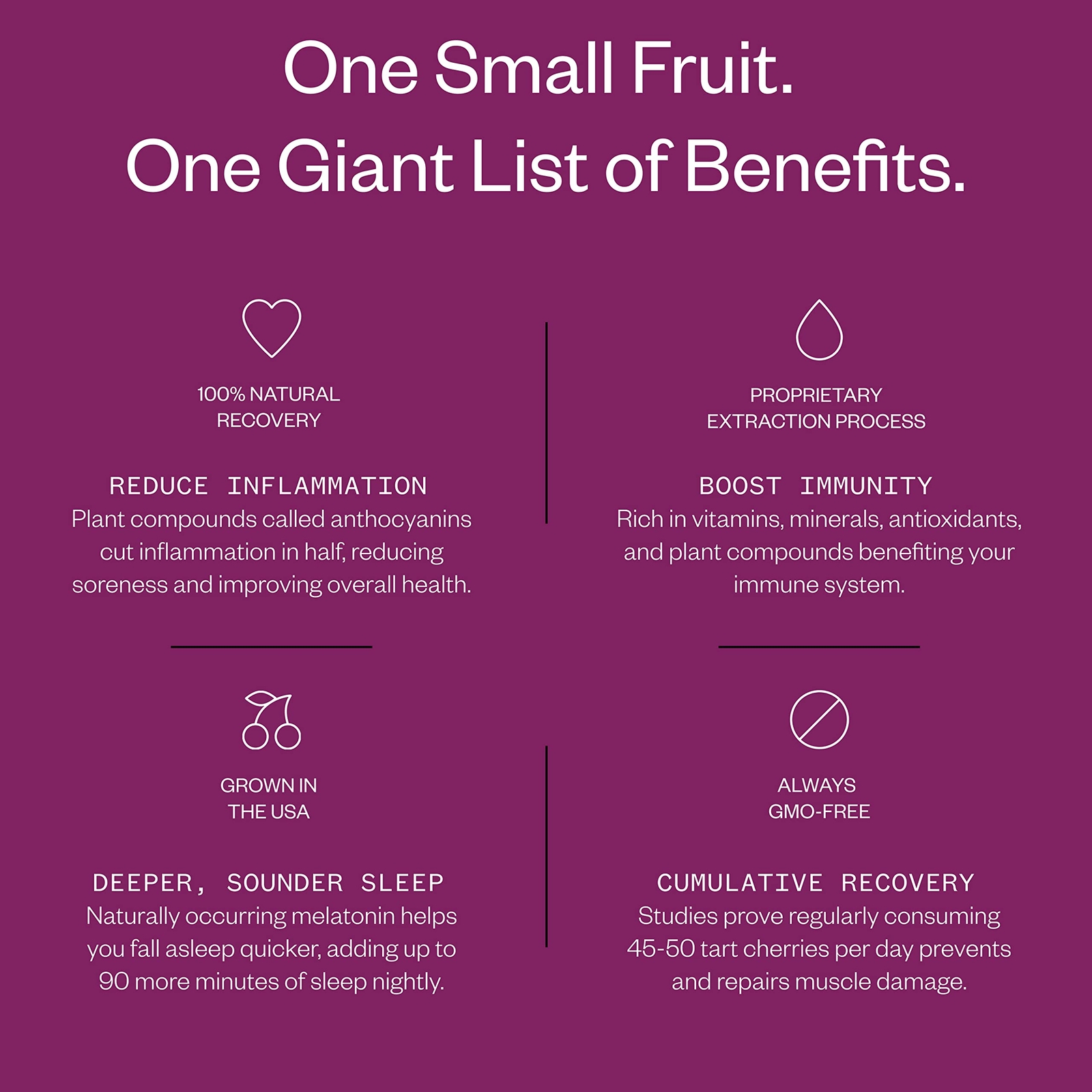 SLEEP Tart Cherry Juice – Formulated for for Deeper Sleep – Fight Inflammatio…