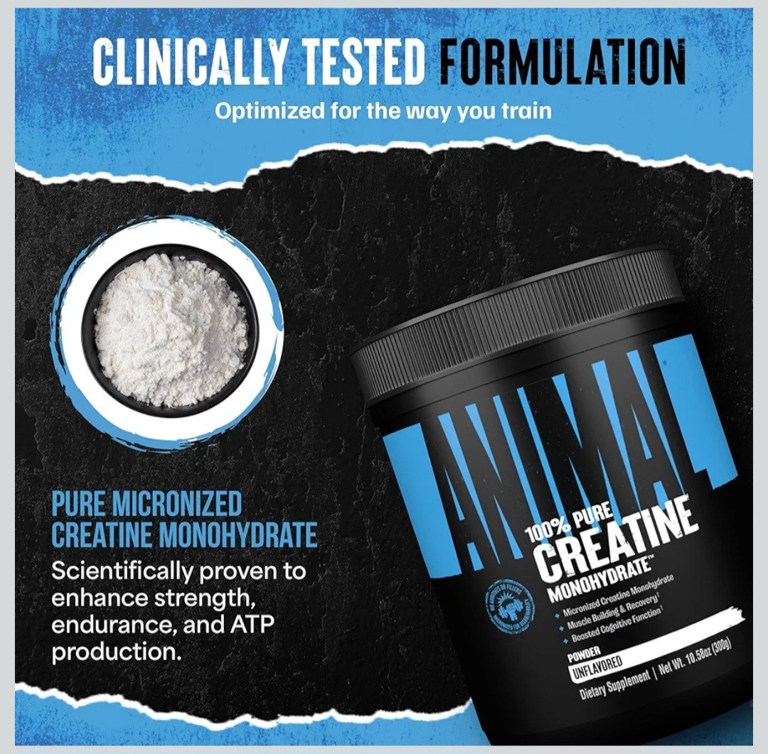 Animal 100% Pure Creatine Monohydrate Powder, Unflavored, 10.58 oz (300 g)