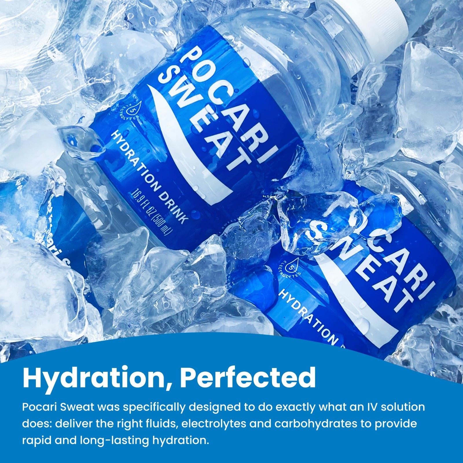 Electrolyte Drink 24 Pack – Hydration & Recovery Beverage, 16.9 fl oz Bottles