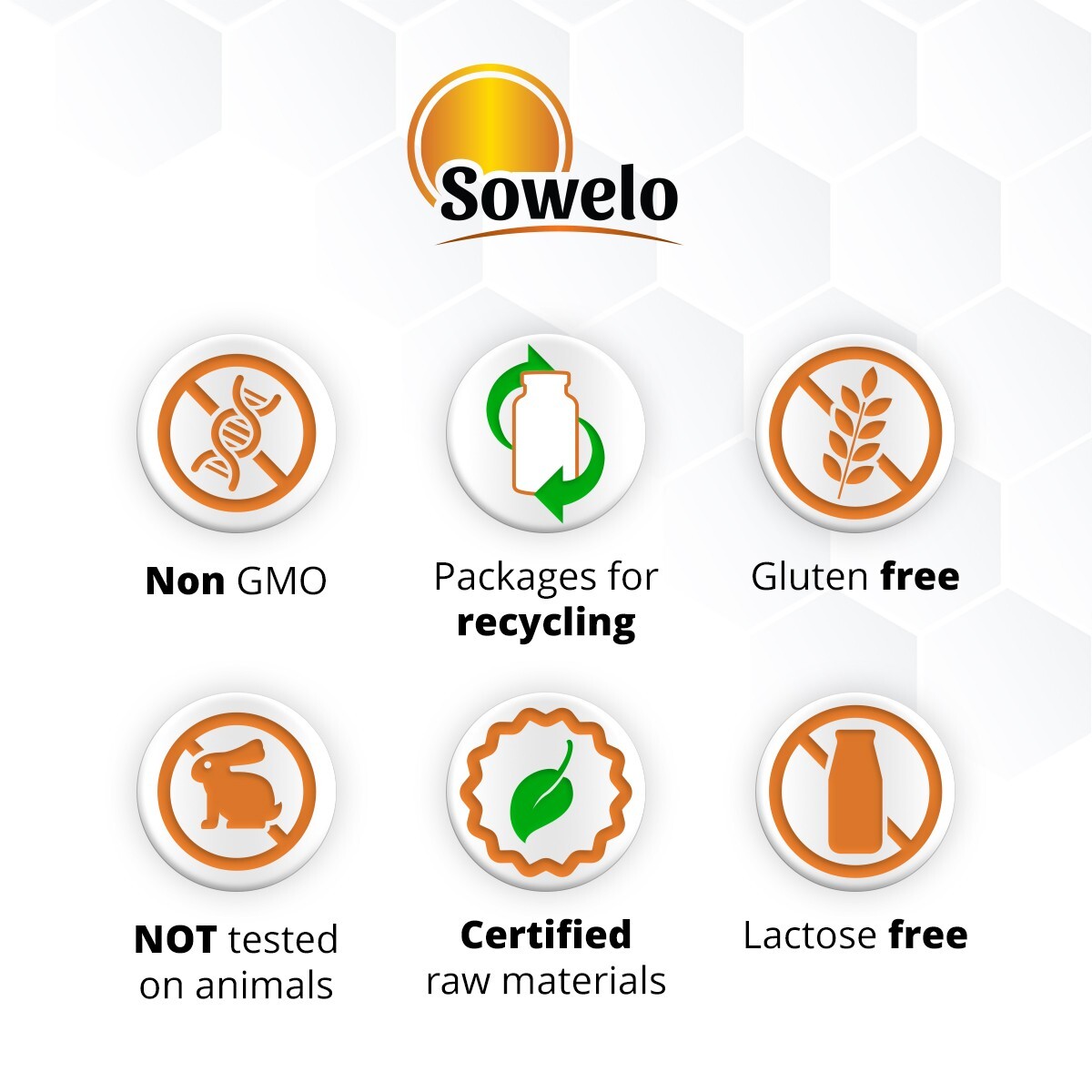 SOWELO D-RIBOSE 300g POWDER