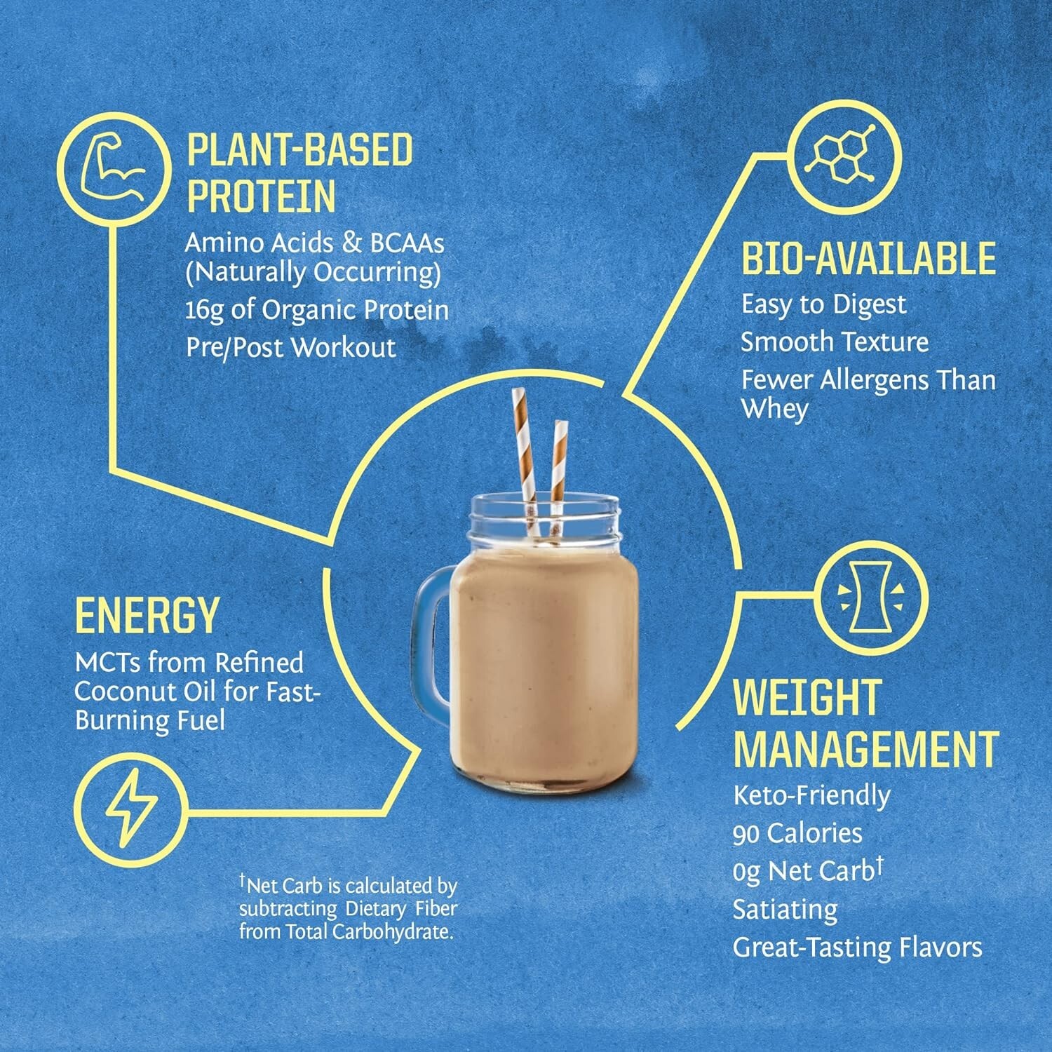 Sunwarrior Protein Warrior Blend Chocolate Flavor 1.7 lbs for Peak Performance