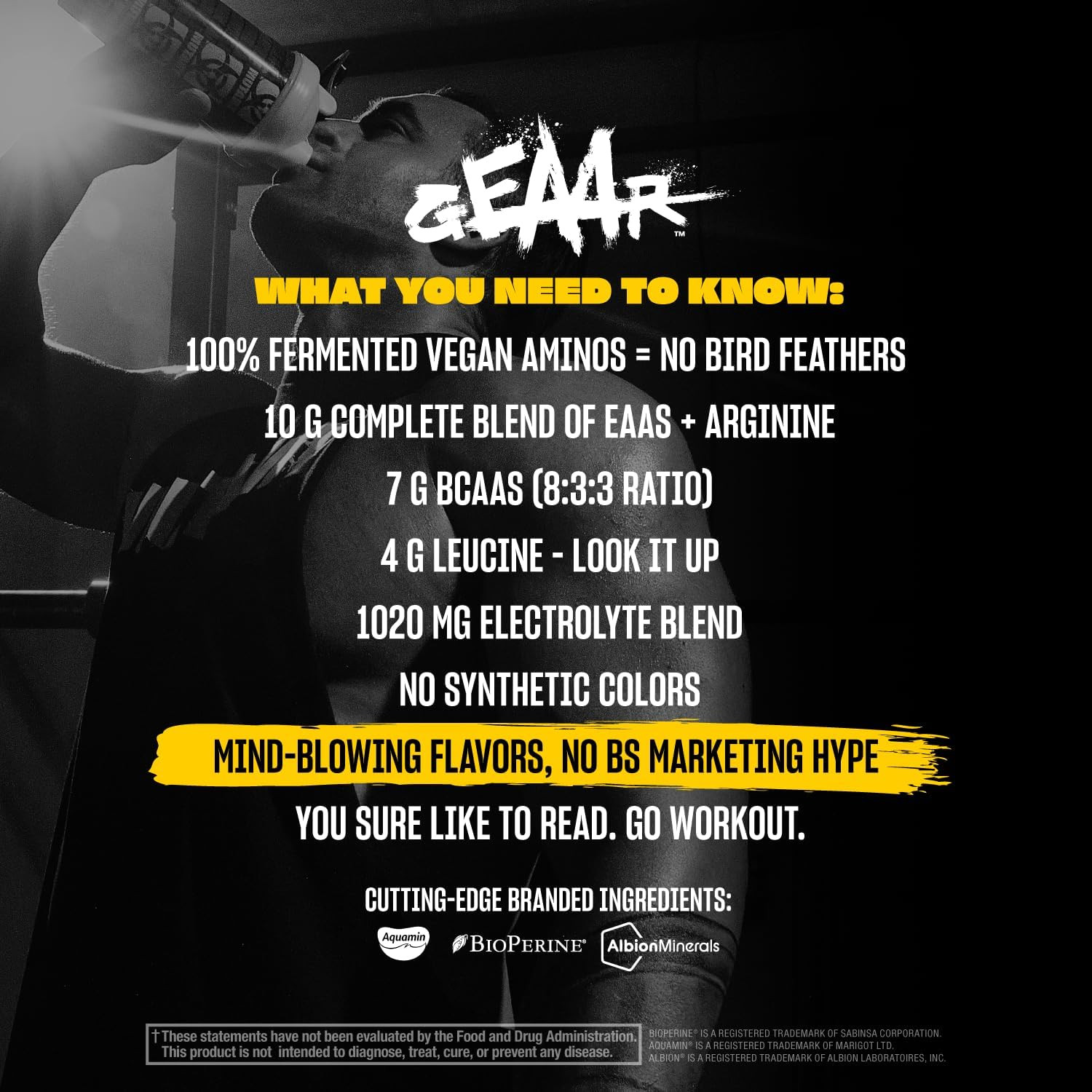 GEAAR – 9.4G of EAA Powder + Arginine, 7G Bcaas, 4G Leucine, Electrolytes, Cocon