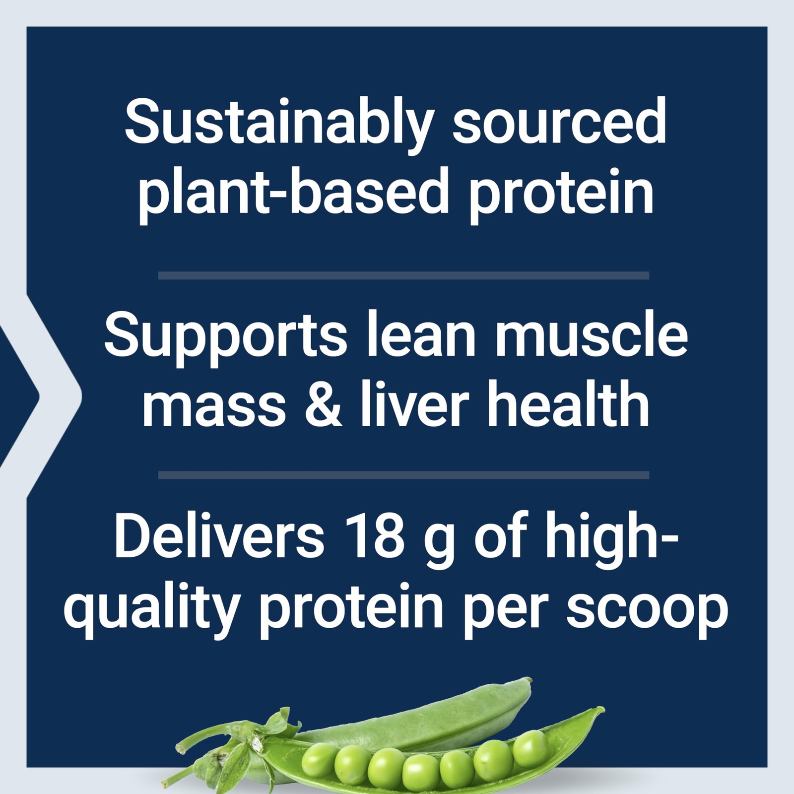 Life Extension Wellness Code Plant Protein Complete Vanilla 450g